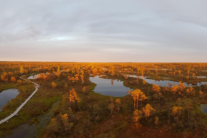 From Riga: Best of Kemeri National Park In One Day - Discover Lake Kanieris Birdlife