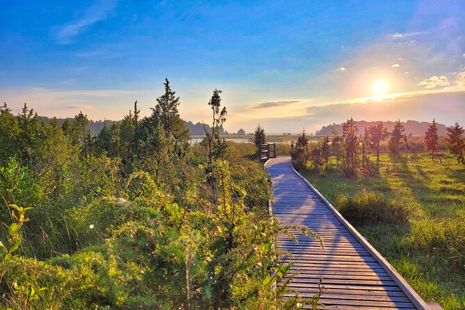 From Riga: Best of Kemeri National Park In One Day - Take in the Gulf of Riga