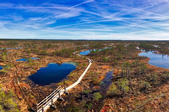 From Riga: Best of Kemeri National Park In One Day - Walk the Kemeri Bog Boardwalk