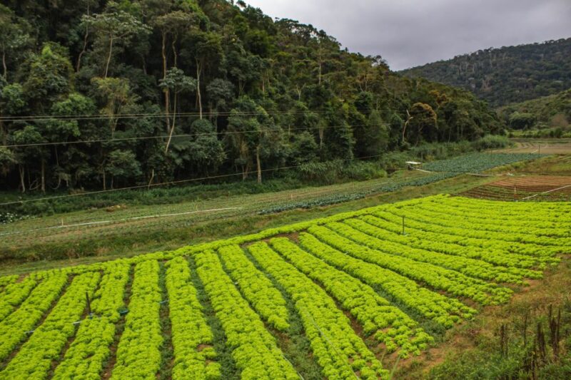 From Rio: Brejal Countryside Farm and Nature Day Trip - Customizable Day Experiences