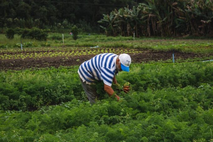 From Rio: Brejal Countryside Farm and Nature Day Trip - Optional Outdoor Activities
