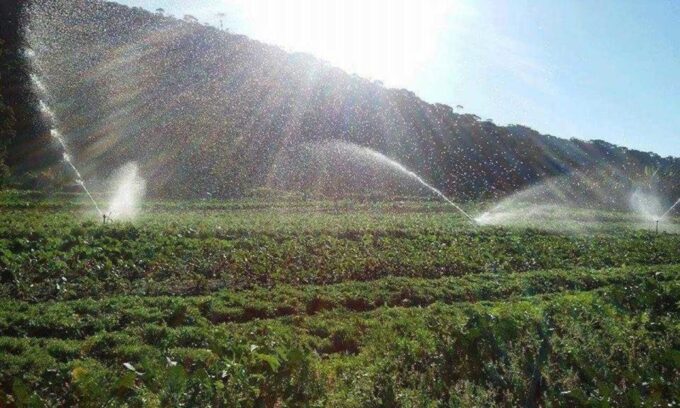 From Rio: Brejal Countryside Farm and Nature Day Trip - Transportation and Pickup Details
