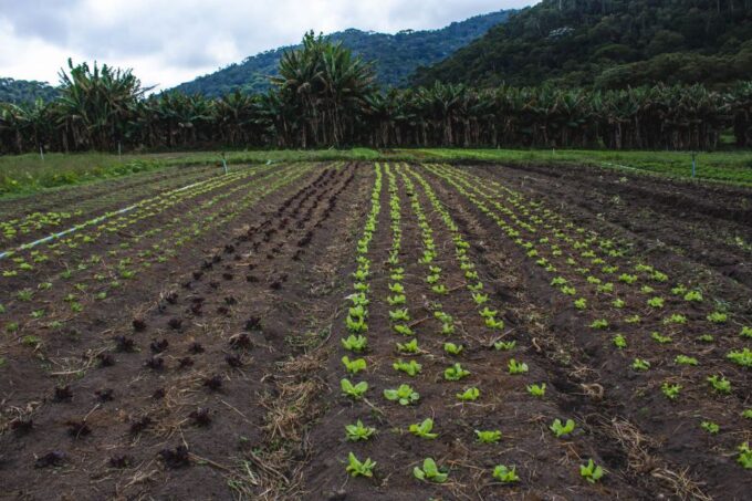 From Rio: Brejal Countryside Farm and Nature Day Trip - Frequently Asked Questions