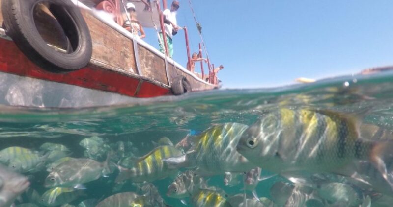 From Rio De Janeiro: Ilha Grande Day Trip - Guided Excursion