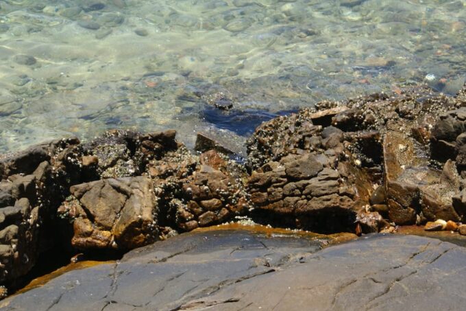 From Rio: Full-Day Angra Dos Reis Cruise & Island Tour - Frequently Asked Questions