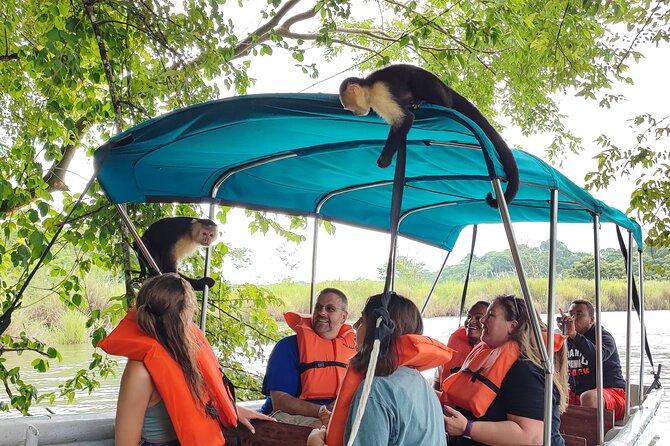 From Riu Playa Blanca - Monkey Eco Boat & Old City Tour - Key Points