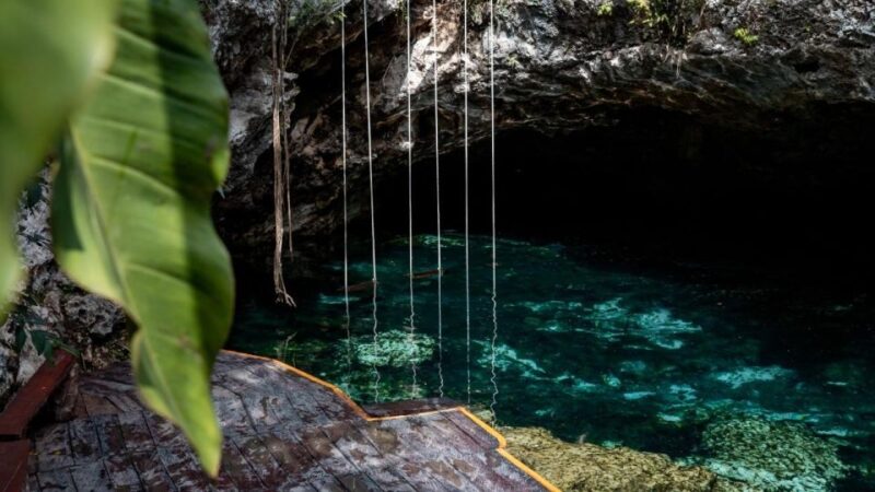 From Riviera : Kaan Luum With Cenotes & Lunch ECO - Stops and Activities