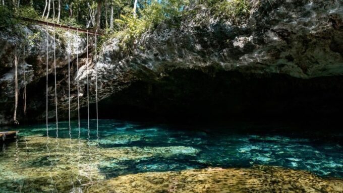 From Riviera : Kaan Luum With Cenotes & Lunch ECO - Booking and Pricing