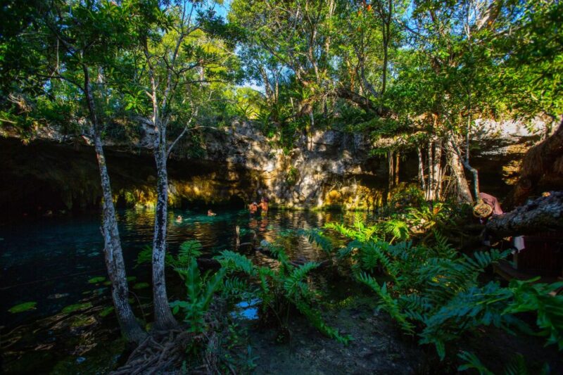 From Riviera Maya: 3 Cenotes Adventure With Lunch - Age Restrictions