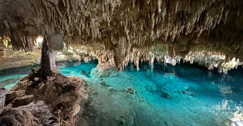 From Riviera Maya: 3 Cenotes Snorkeling Tour - Key Points