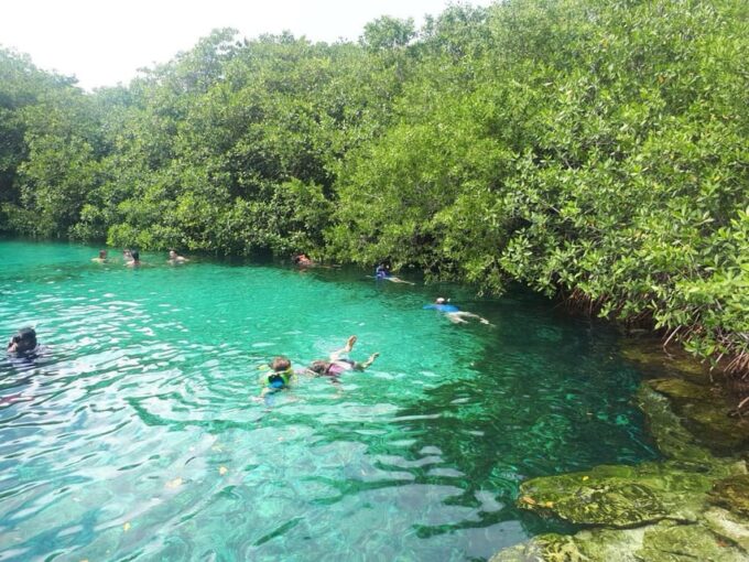 From Riviera Maya: 3 Cenotes Snorkeling Tour - Explore Crystal-Clear Waters
