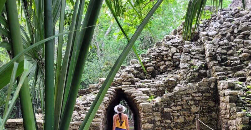 From Riviera Maya: Coba, Punta Laguna and Cenote Day Trip - Pricing