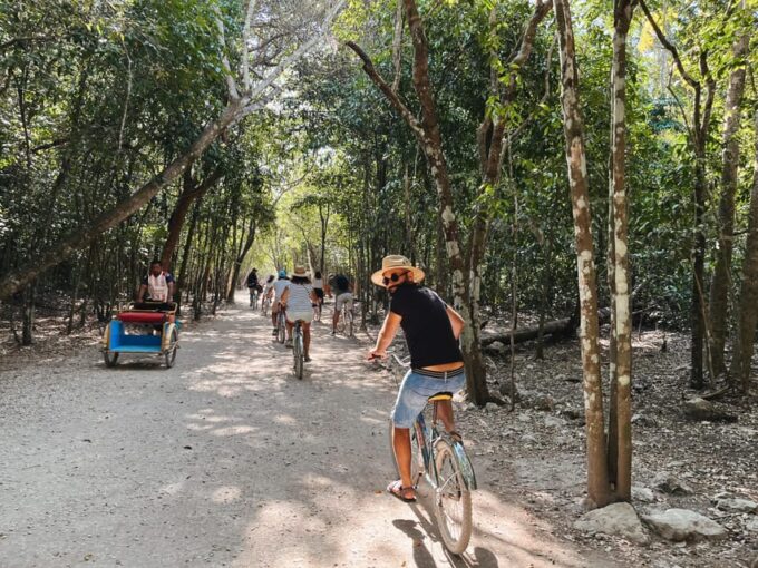 From Riviera Maya: Coba, Punta Laguna and Cenote Day Trip - Customer Feedback