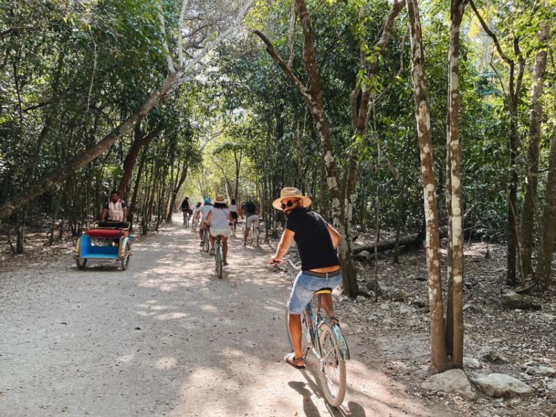 From Riviera Maya: Coba, Punta Laguna and Cenote Day Trip - Key Points