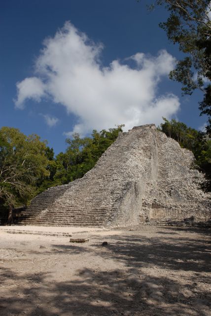 From Riviera Maya: Coba, Punta Laguna and Cenote Day Trip - Exploring Punta Laguna