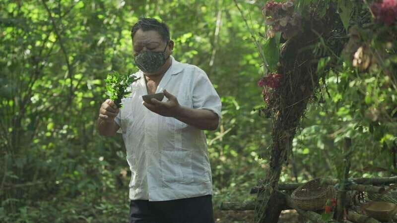 From Riviera Maya: Coba, Punta Laguna & Cenote Guided Trip - Lunch in a Mayan Village: Authentic Flavors
