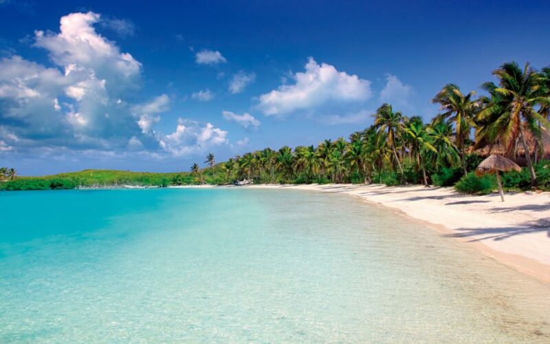 From Riviera Maya: Day Tour to Contoy and Isla Mujeres - Key Points