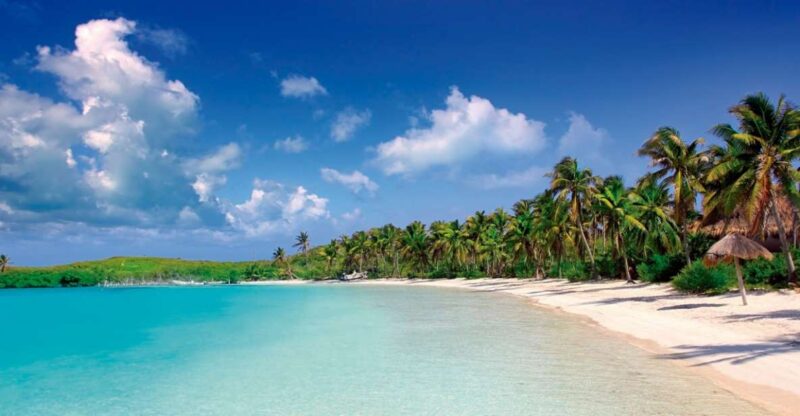 From Riviera Maya: Day Tour to Contoy and Isla Mujeres - Inclusions