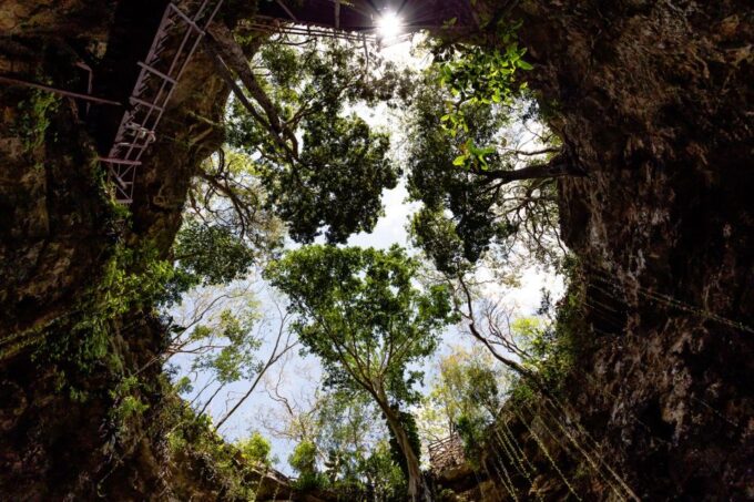 From Riviera Maya: Ek Balam & Cenote Tour W/ Lunch & Pickup - Transportation and Pickup