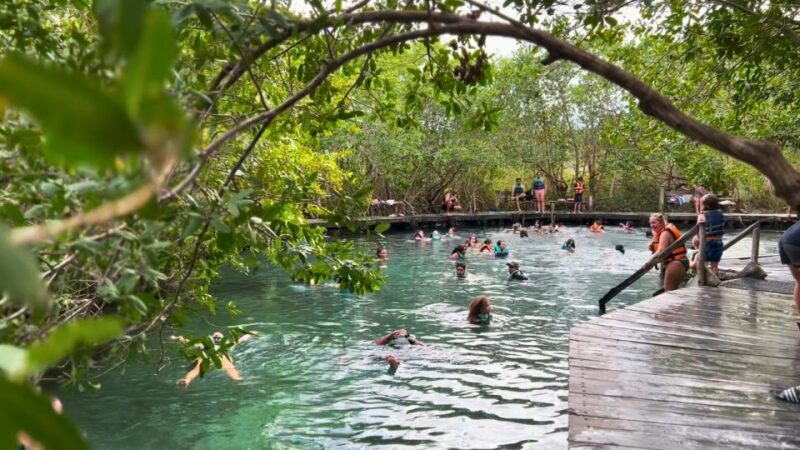 From Riviera Maya: Holbox Full-Day Tour With Lunch - Pickup Locations and Activities