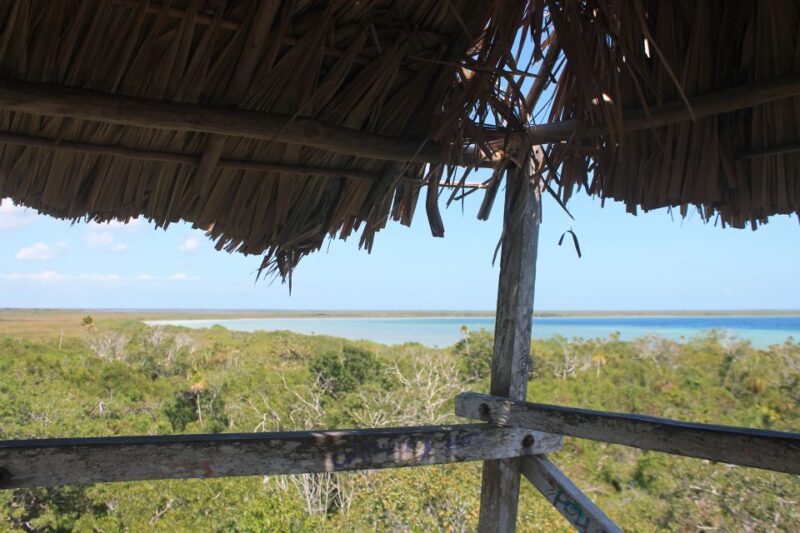 From Riviera Maya: Mayan Ruins & Sian Kaan Reserve Tour - Key Points