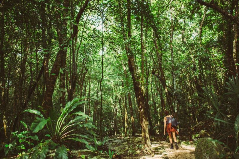 From Riviera Maya: Mayan Ruins & Sian Kaan Reserve Tour - Itinerary Highlights