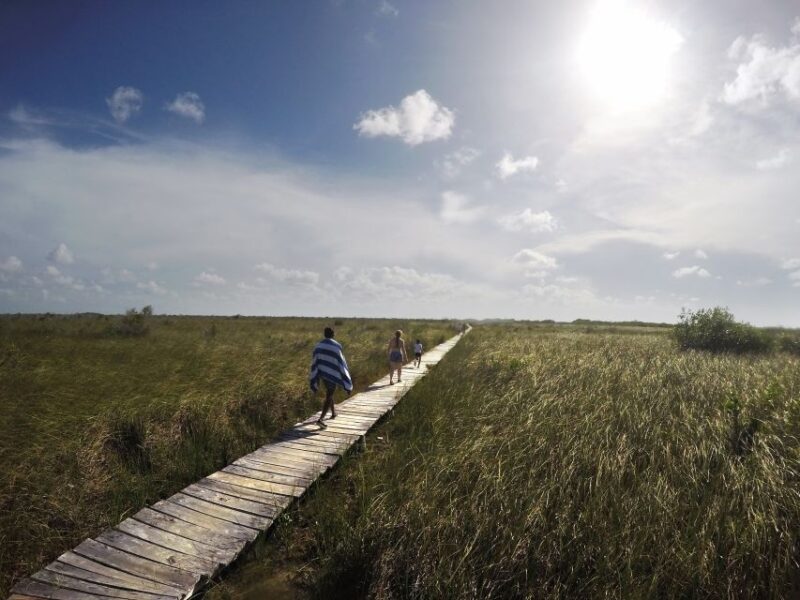 From Riviera Maya: Mayan Ruins & Sian Kaan Reserve Tour - Pickup and Drop-off