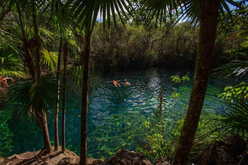 From Riviera Maya: Private Temazcal & Cenote Ceremony - Activities and Highlights
