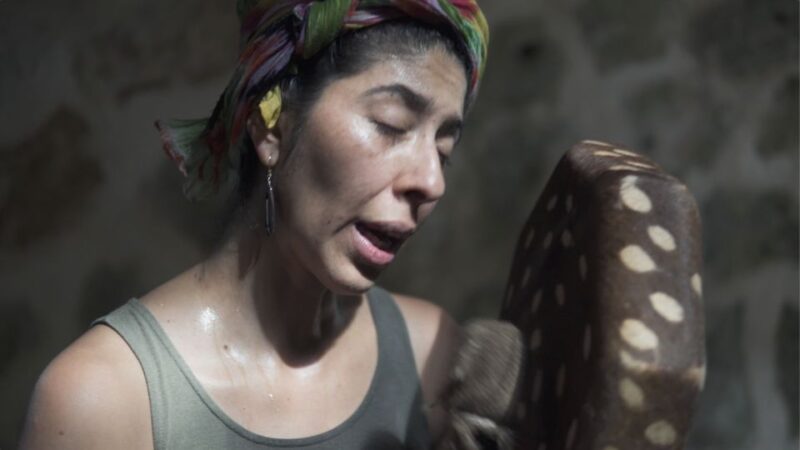From Riviera Maya: Private Temazcal & Cenote Ceremony - Health Benefits