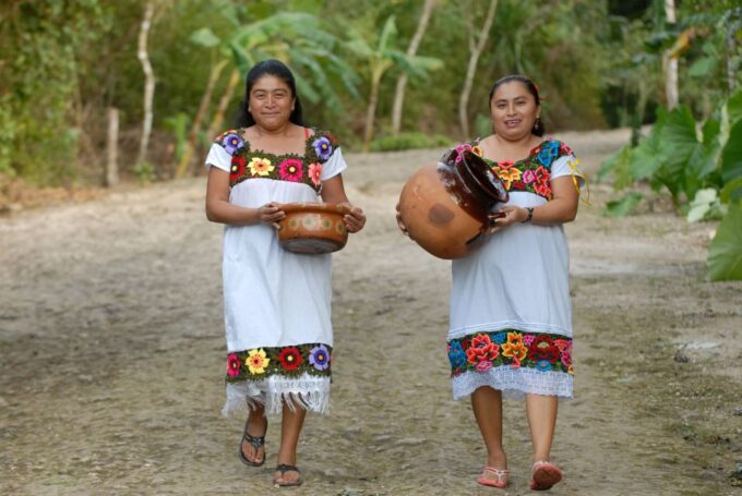From Riviera Maya: Private Temazcal & Cenote Ceremony - Cultural Immersion
