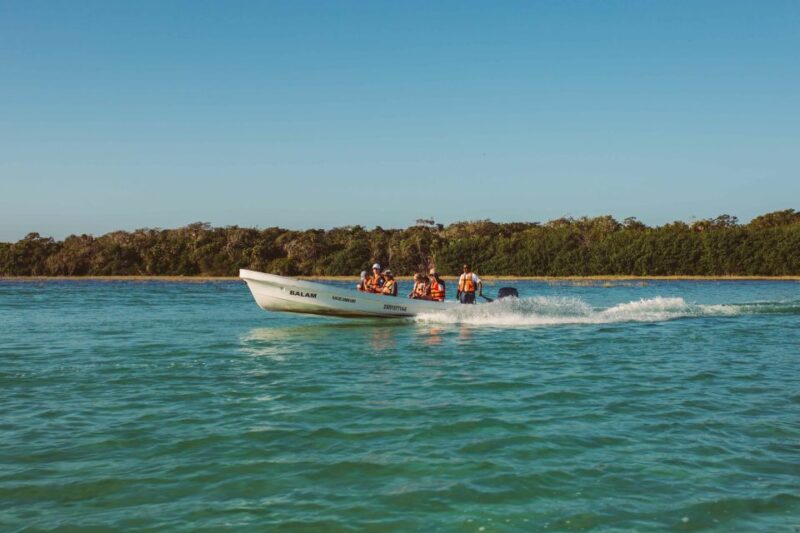 From Riviera Maya: Sian Kaan Half Day Tour W/ Lunch - Key Points