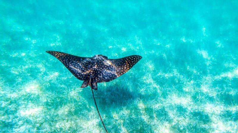 From Riviera Maya: Sian Kaan Half Day Tour W/ Lunch - What to Bring