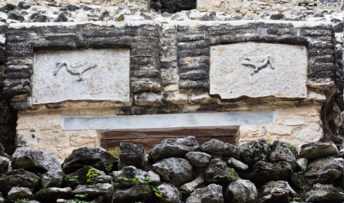 From Riviera Maya : Sian Kaan Muyil Birdwatching With Guide - Booking Information