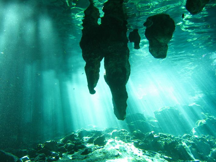 From Riviera Maya: Snorkeling & Private Cenote Half-Day Tour - Included Services and Equipment