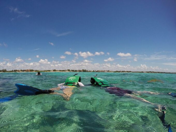 From Riviera Maya: Snorkeling & Private Cenote Half-Day Tour - Transportation and Pickup Options