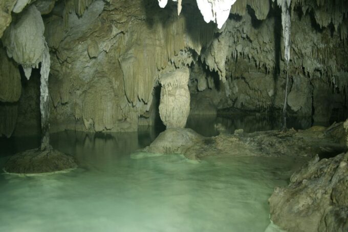 From Riviera Maya: Snorkeling & Private Cenote Half-Day Tour - Customer Reviews and Ratings