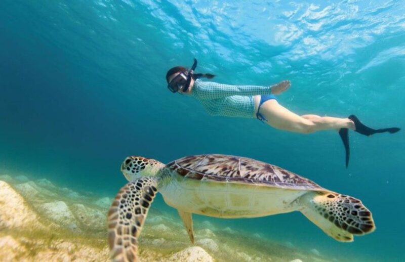 From Riviera Maya: Tulum, Cenote, & Akumal Turtle Swim Trip - Key Points