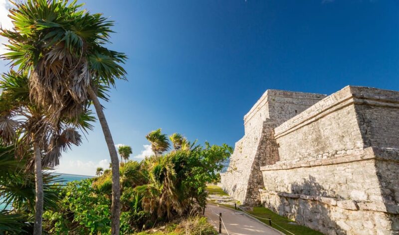 From Riviera Maya: Tulum, Cenote, & Akumal Turtle Swim Trip - Experience Highlights