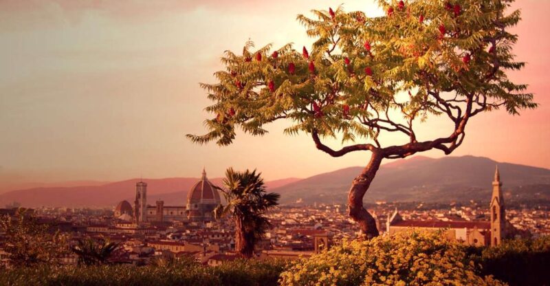 From Rome: Day Trip to Florence by High-Speed Train - Key Points