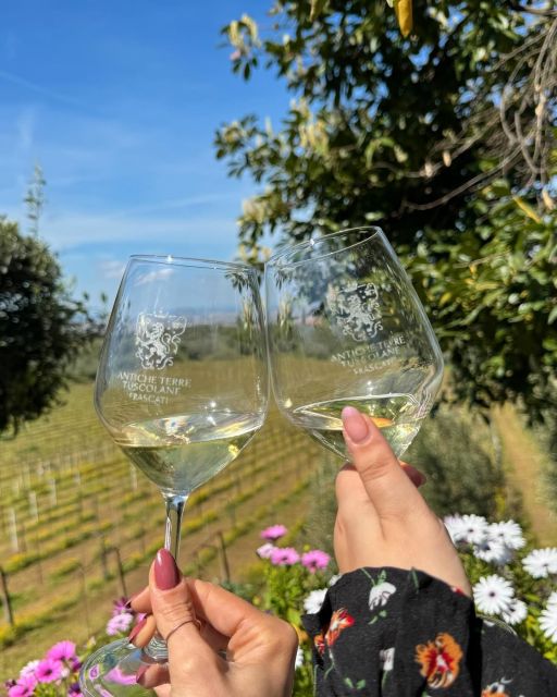 From Rome: Frascati Wine Tour With Lunch and Vineyard Tour - Key Points