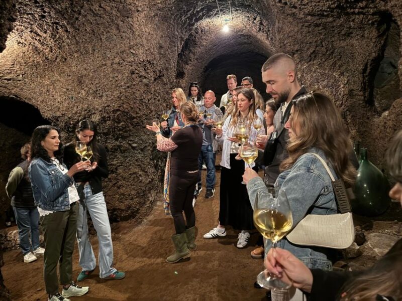 From Rome: Frascati Wine Tour With Lunch and Vineyard Tour - Experience Details