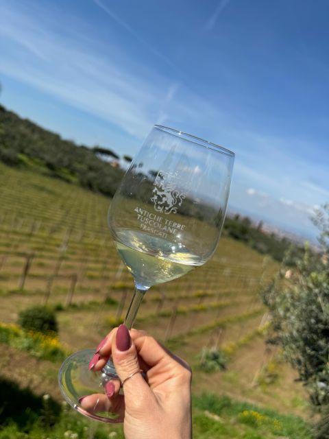 From Rome: Frascati Wine Tour With Lunch and Vineyard Tour - Starting Location and Transportation