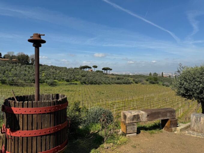 From Rome: Frascati Wine Tour With Lunch and Vineyard Tour - Frequently Asked Questions
