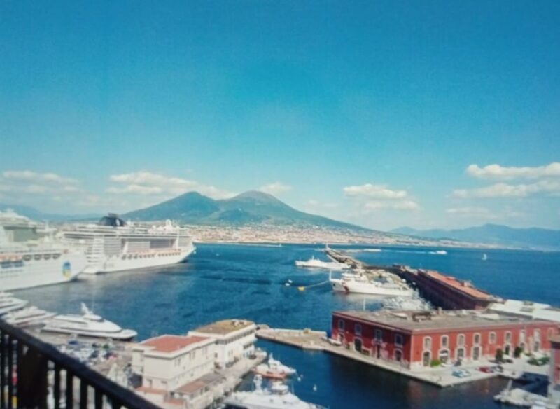 From Rome: Full Day Pompeii and Naples Tour - Participant Information