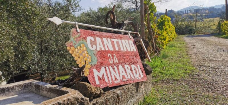 From Rome: Half-Day Frascati Wine Tour With Farmhouse Lunch - Frascati Exploration