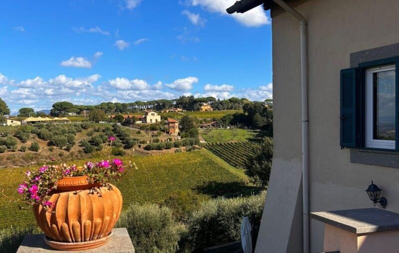From Rome: Half-Day Frascati Wine Tour With Farmhouse Lunch - Winery Visit