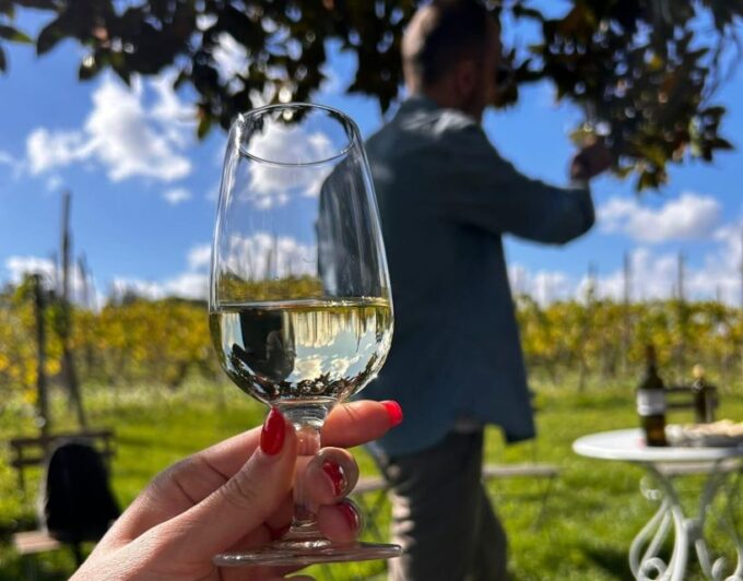 From Rome: Half-Day Frascati Wine Tour With Farmhouse Lunch - Participant Information