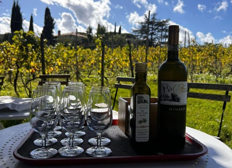 From Rome: Pasta Masterclass & Wine Tour in the Vineyard - Pasta Masterclass