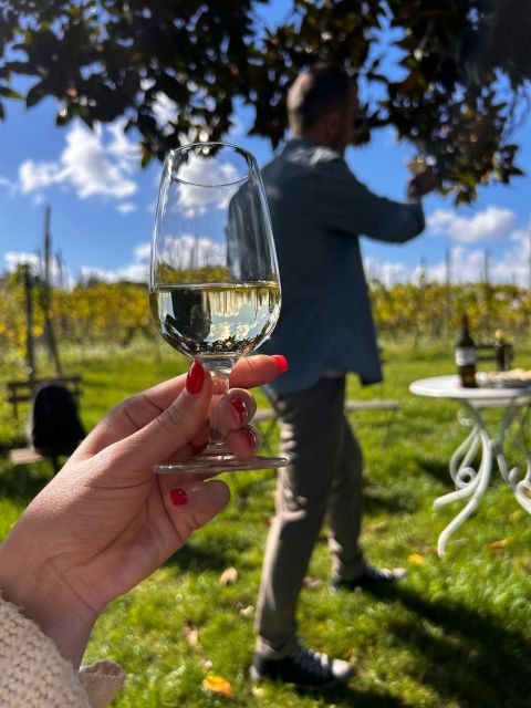 From Rome: Pasta Masterclass & Wine Tour in the Vineyard - Lunch and Dietary Options