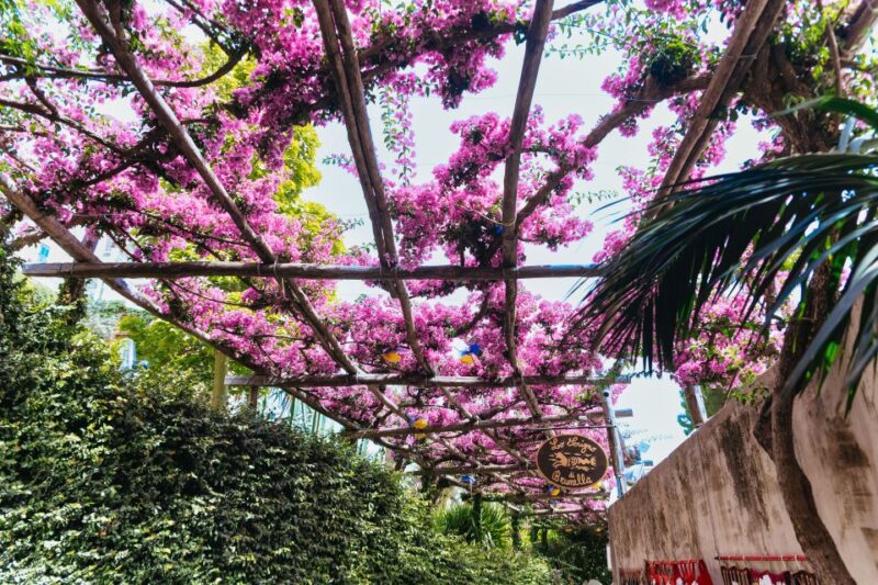 From Rome: Pompeii, Amalfi Coast and Positano Day Trip - Key Points